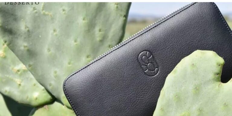 Cuire fait à partir de cactus pourrait être notre futur